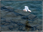 foto Lungo il Fiume Brenta